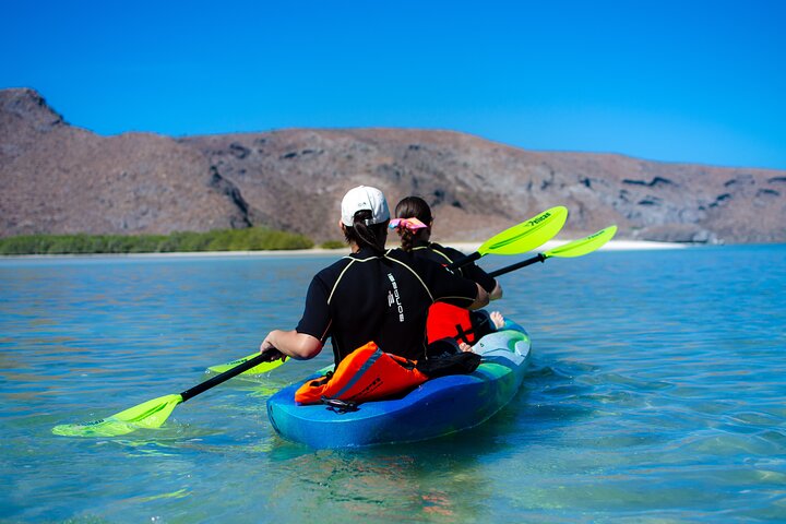 Balandra adventure: sea lions, kayak, and hike in paradise