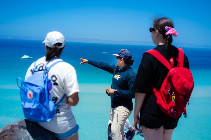 Balandra adventure: sea lions, kayak, and hike in paradise