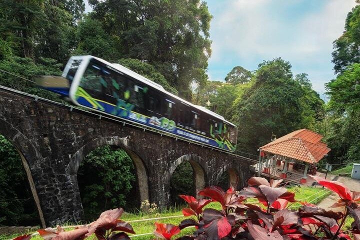 6 Hours Enchanting Exploration in Penang