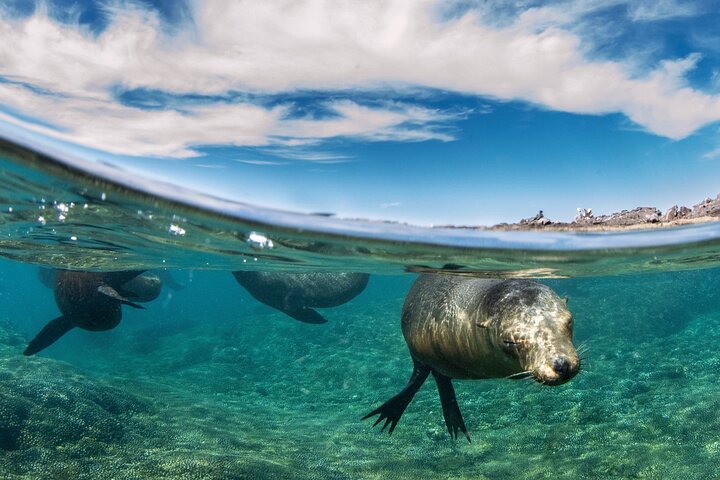 Adventure to Espiritu Santo Island: Snorkel with Sea Lions and Beach