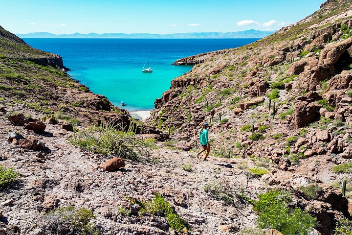 Adventure to Espiritu Santo Island: Snorkel with Sea Lions and Beach