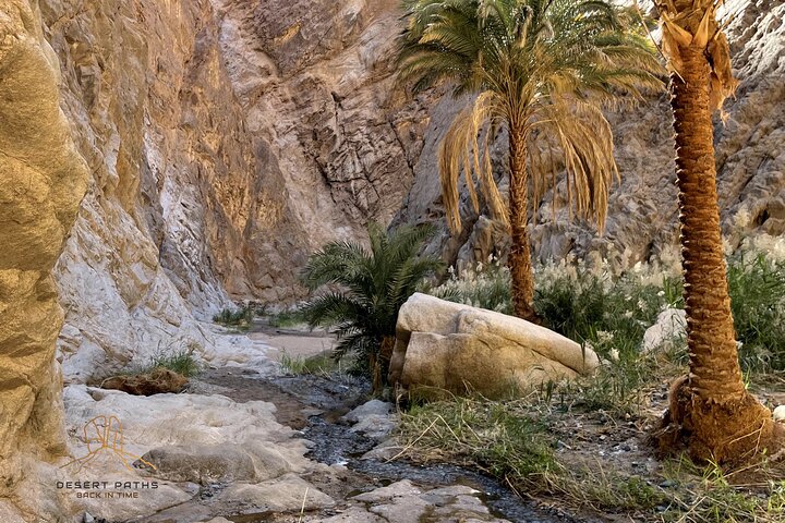 Discover NEOM, Here and Back Again - Tour the Majestic Tabuk