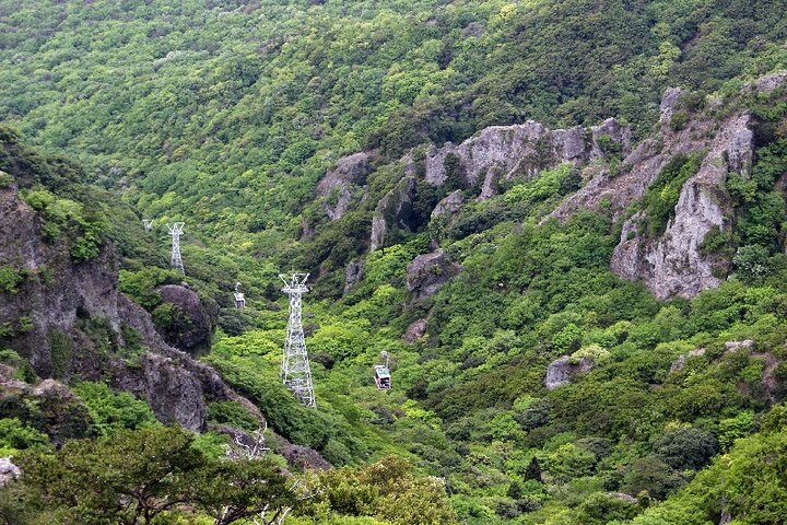 1 Day Shodoshima Island Bus Tour