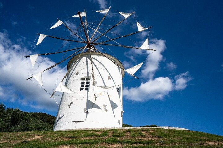 1 Day Shodoshima Island Bus Tour