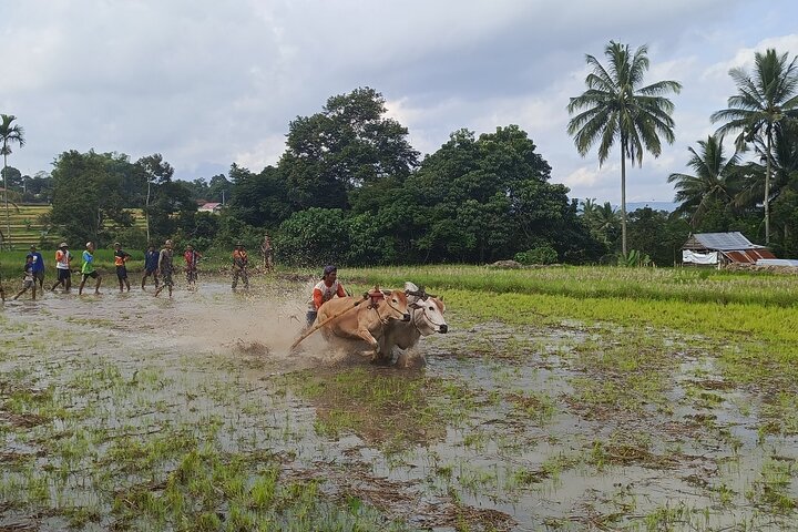 5-Days Private Tour in West Sumatera