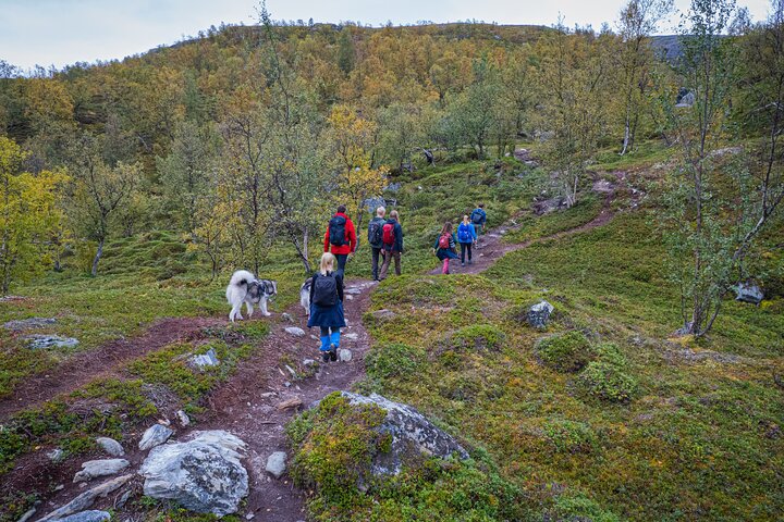 Half Day Hike To Orvvosfossen Waterfall