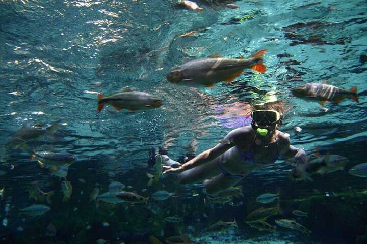 Private Multiday Tour to Panatal with Pickups