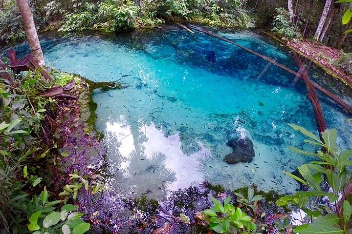 Private Multiday Tour to Panatal with Pickups