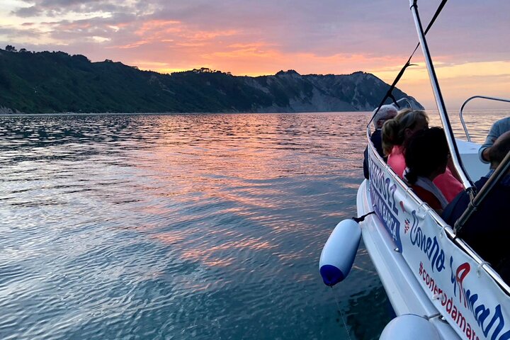 Shared rental - Boat with driver - Riviera del Conero