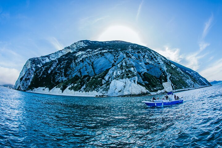 Shared rental - Boat with driver - Riviera del Conero