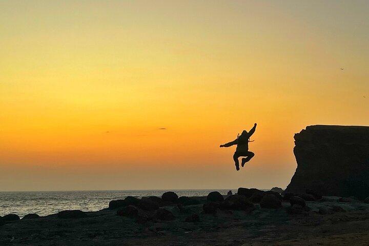 Paracas NationaL Reserve Journey - Scenic Stops at Your own pace