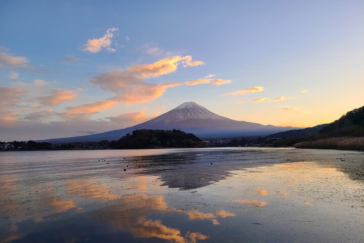 Self-Drive Open-Top Roadster Rental Experience around Mt. Fuji