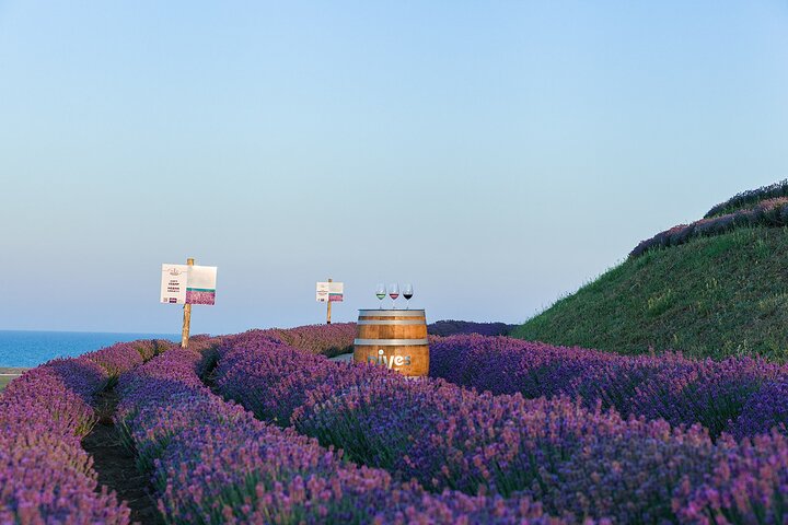 Special History And Wine Tour including Wine Tasting