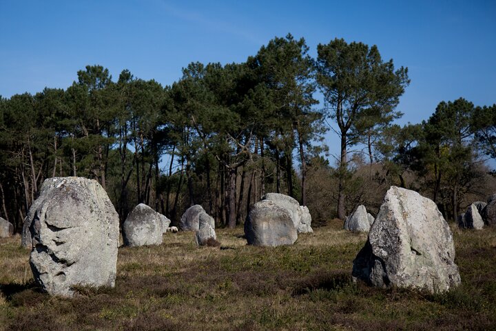 Guided tour of the Megalithic Site of Carnac