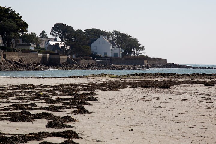 Guided tour of the Megalithic Site of Carnac