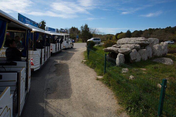 Guided tour of the Megalithic Site of Carnac