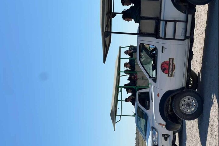 ETOSHA PARK SAFARI with local guides in 9-seater 4x4s