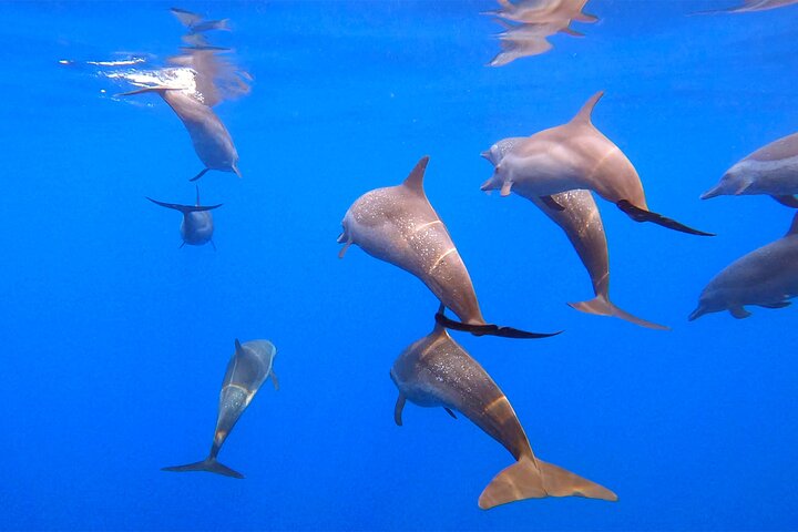 Huatulco Ocean Adventures