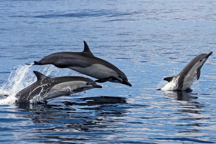 Huatulco Ocean Adventures