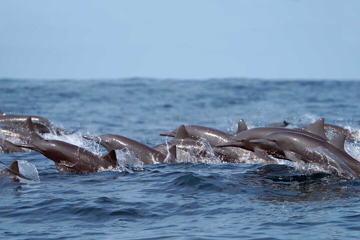 Huatulco Ocean Adventures