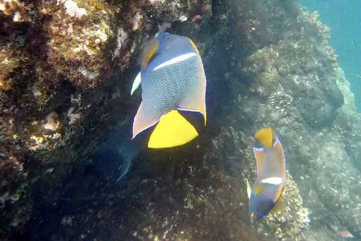 Huatulco Ocean Adventures