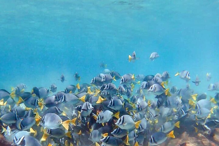Huatulco Ocean Adventures