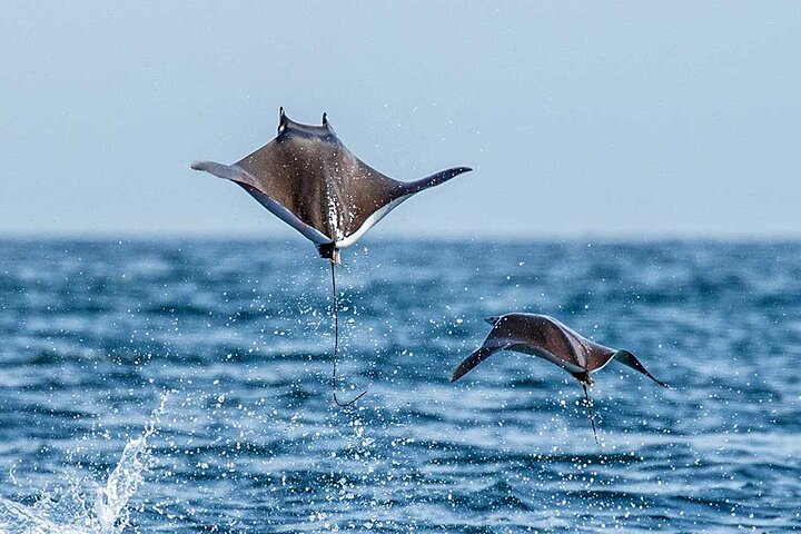 Huatulco Ocean Adventures