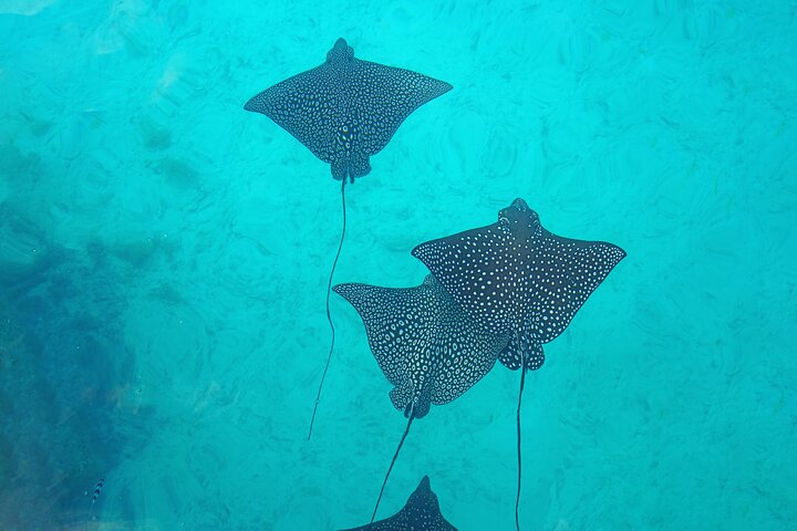 Huatulco Ocean Adventures