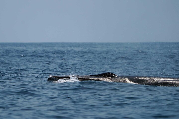 Huatulco Ocean Adventures
