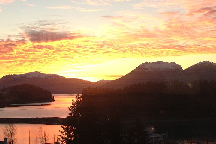 Whale Watching Hoonah Alaska