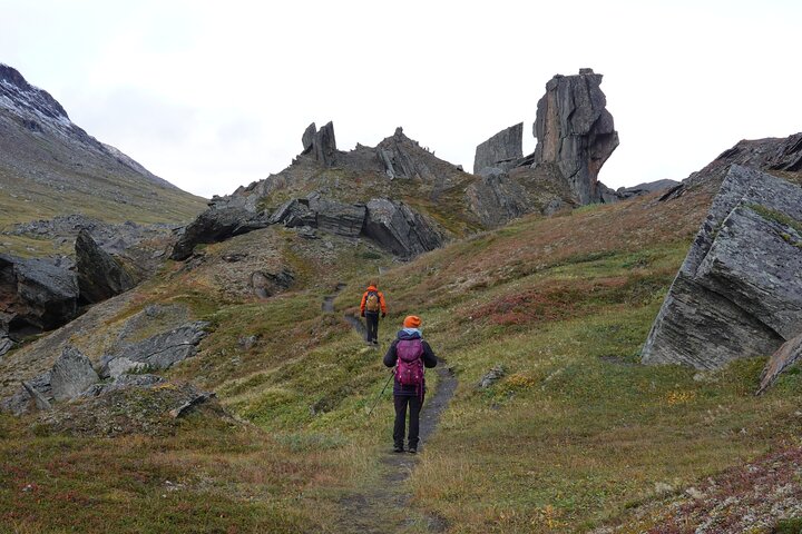 Trollsjön Guided Day Tour