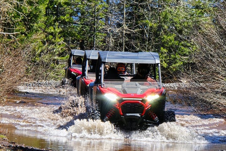 2 Hour High Cascades Scenic ATV Tour in Bend Oregon