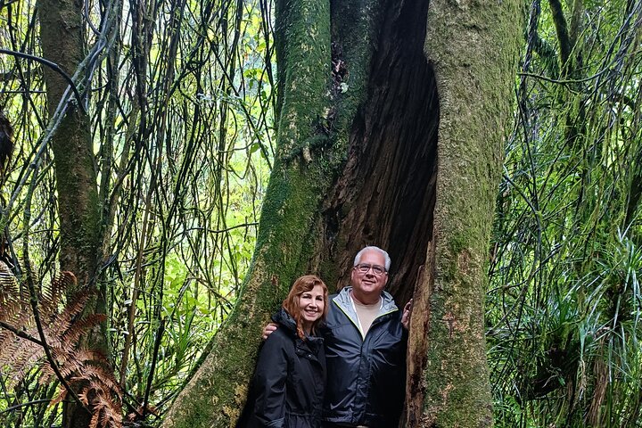 Hobbiton movie set tour and a lot more beautiful NZ sights
