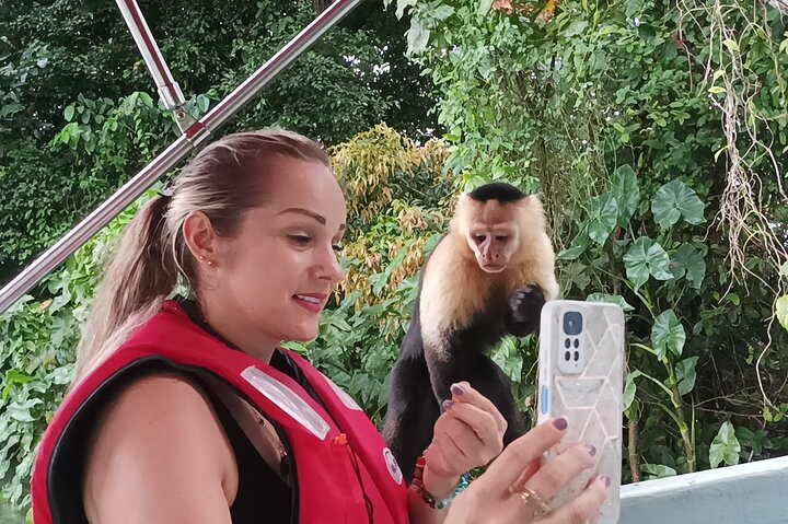 Gatun Lake: Monkeys & Exotic Wildlife by the Canal