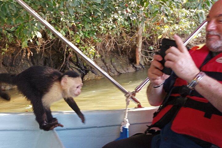 Gatun Lake: Monkeys & Exotic Wildlife by the Canal