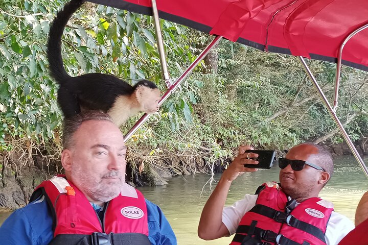 Gatun Lake: Monkeys & Exotic Wildlife by the Canal
