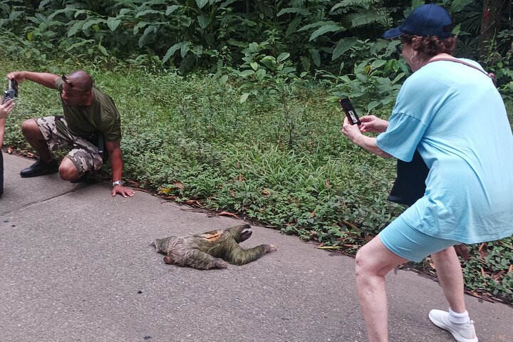 Gatun Lake: Monkeys & Exotic Wildlife by the Canal