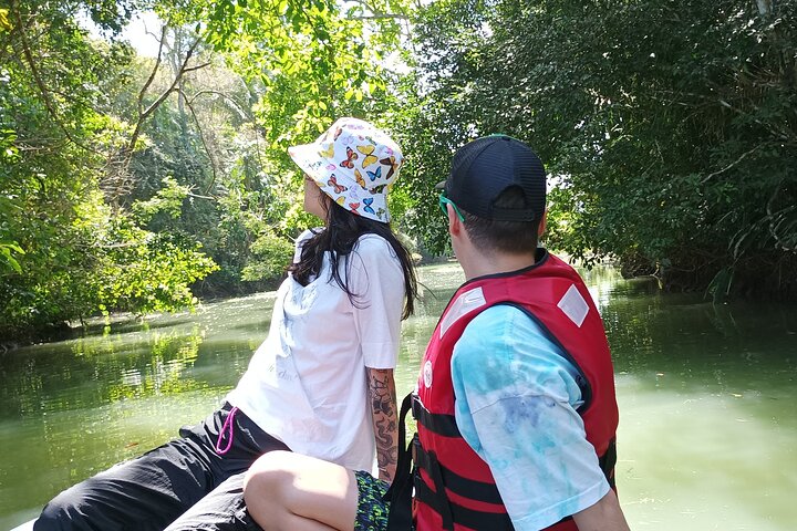 Gatun Lake: Monkeys & Exotic Wildlife by the Canal