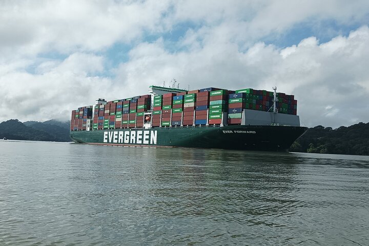 Gatun Lake: Monkeys & Exotic Wildlife by the Canal