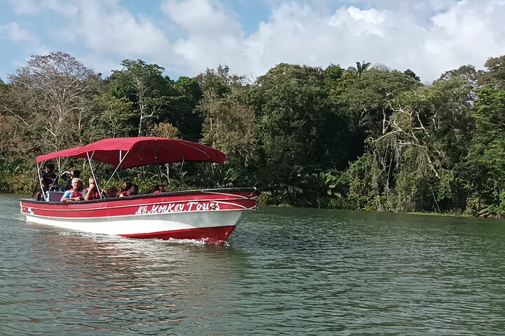 Gatun Lake: Monkeys & Exotic Wildlife by the Canal