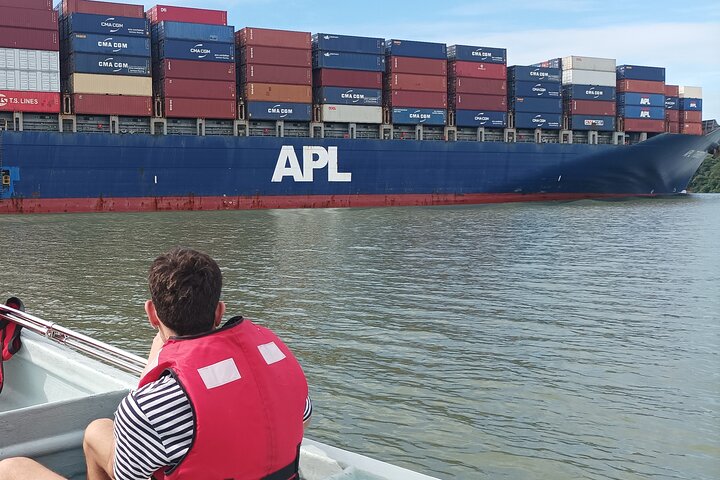 Gatun Lake: Monkeys & Exotic Wildlife by the Canal