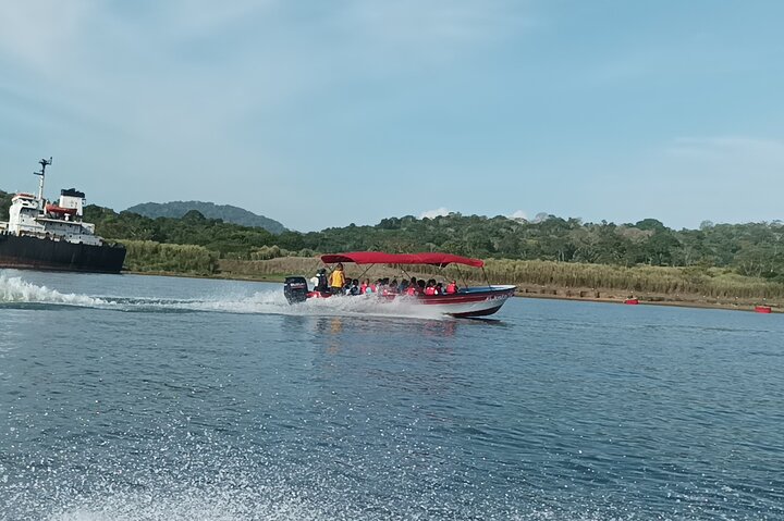 Gatun Lake: Monkeys & Exotic Wildlife by the Canal