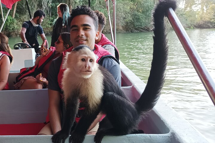 Gatun Lake: Monkeys & Exotic Wildlife by the Canal