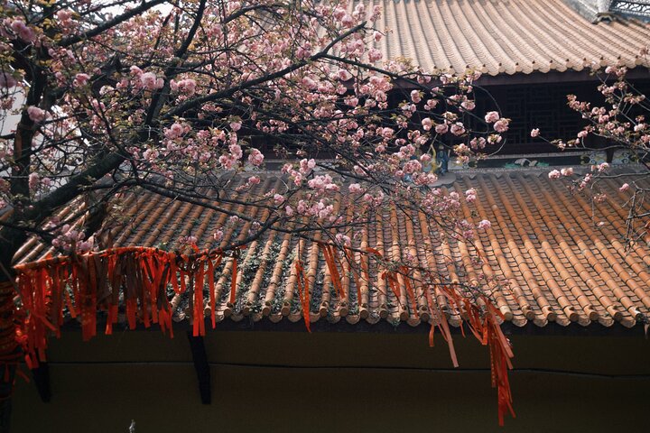 Premium Chongqing Private Tours: Highlights, Night View or Cruise