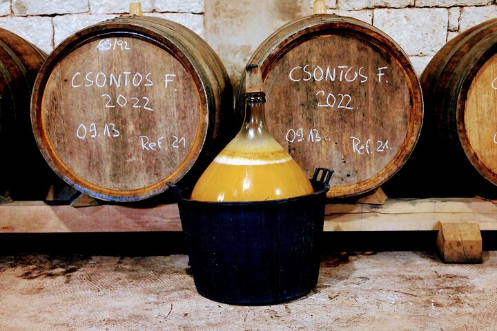Full-Day Tokaj Wine & Cellar Tour from Kosice