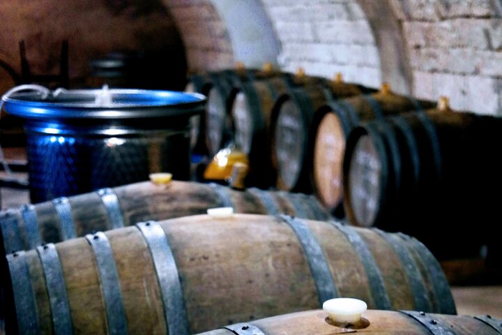 Full-Day Tokaj Wine & Cellar Tour from Kosice