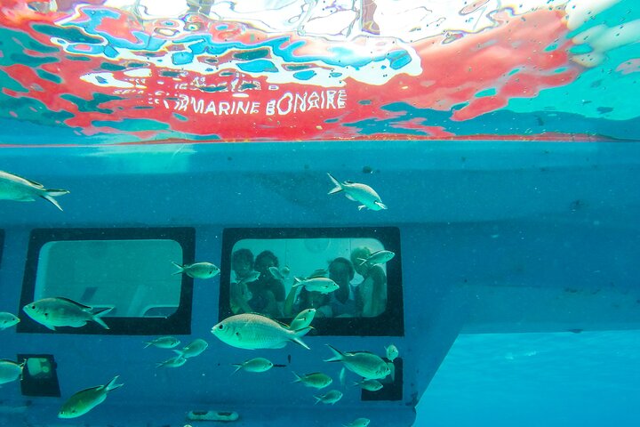 Korcula Semisubmarine Tour
