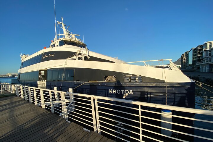 Robben Island Tour from Cape Town: Pre-Booked Ticket & Transfers