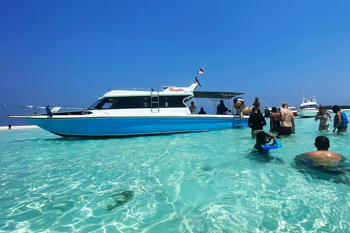 Exclusive Early Bird Komodo Tour: Beat the Crowds by Speed Boat