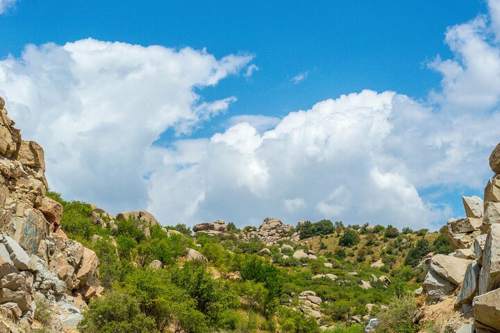 Private Day Trip to Shakhrisabz from Samarkand